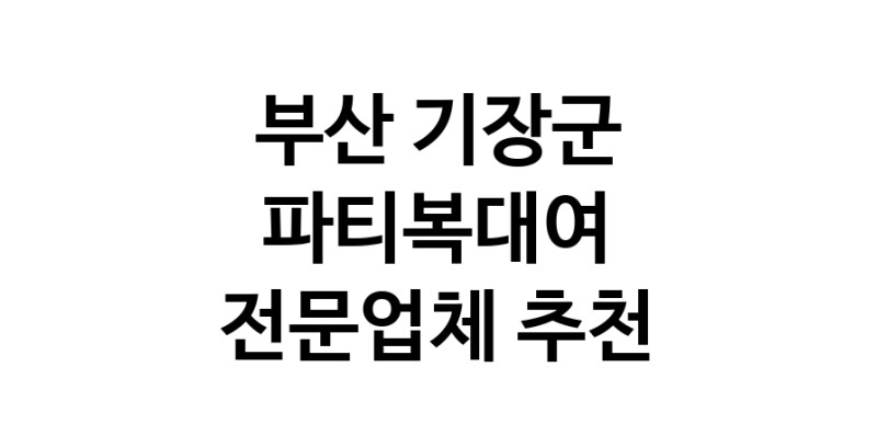 NaVET | 부산 기장군 파티복대여 전문업체 의상대여 파티드레스 블랙드레스 드레스대여 코스튬 코스프레의상